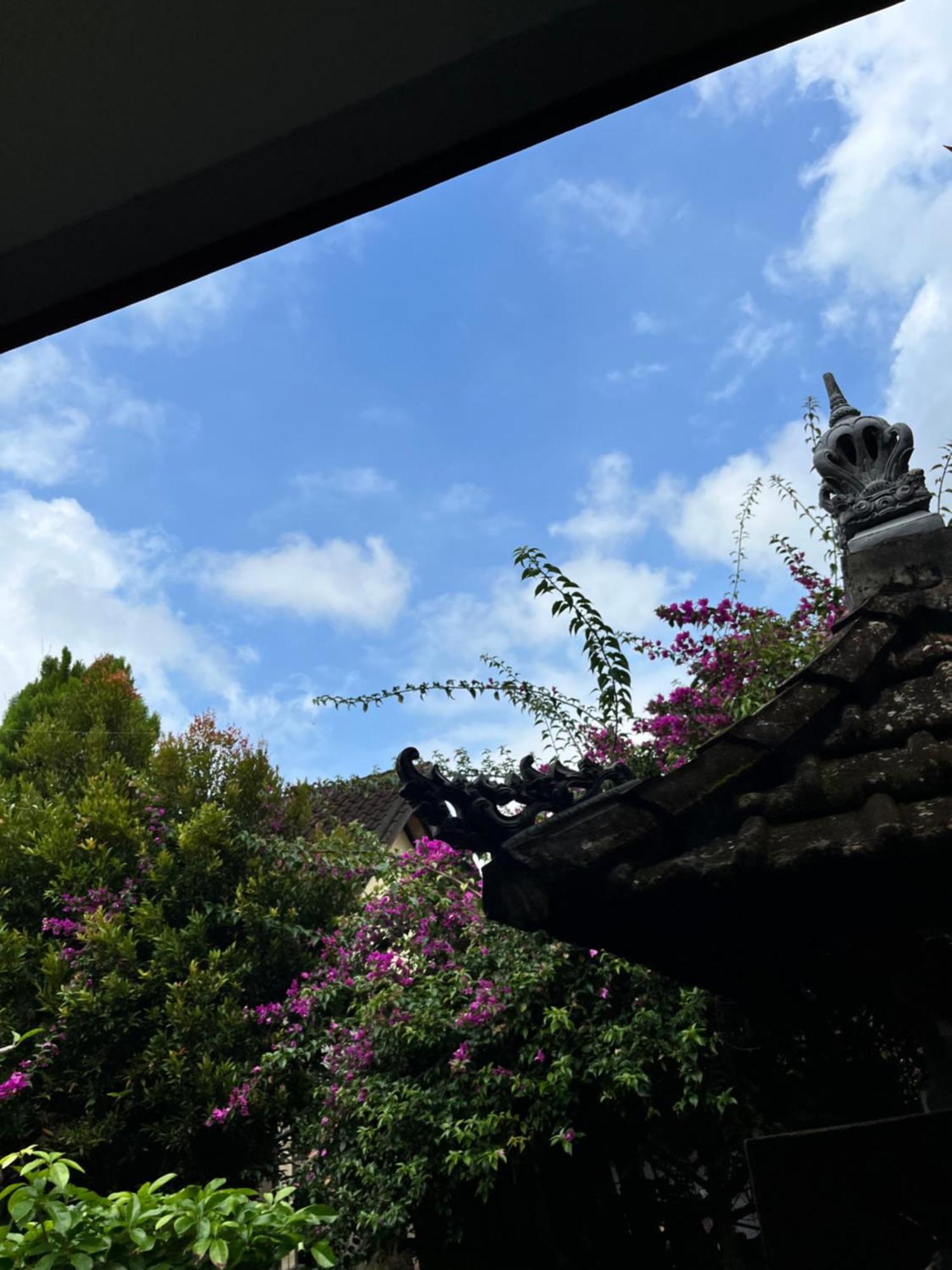 Jana'S Homestay Sidemen  Exterior photo